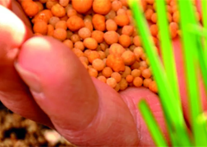 Feststoffdünger Feststoffdünger