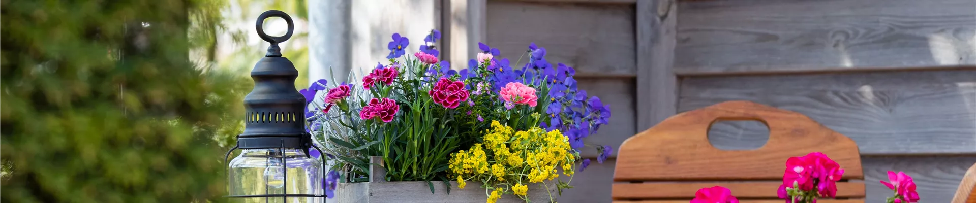 Bepflanzter Übertopf im Gartenambiente Bepflanzter Übertopf im Gartenambiente